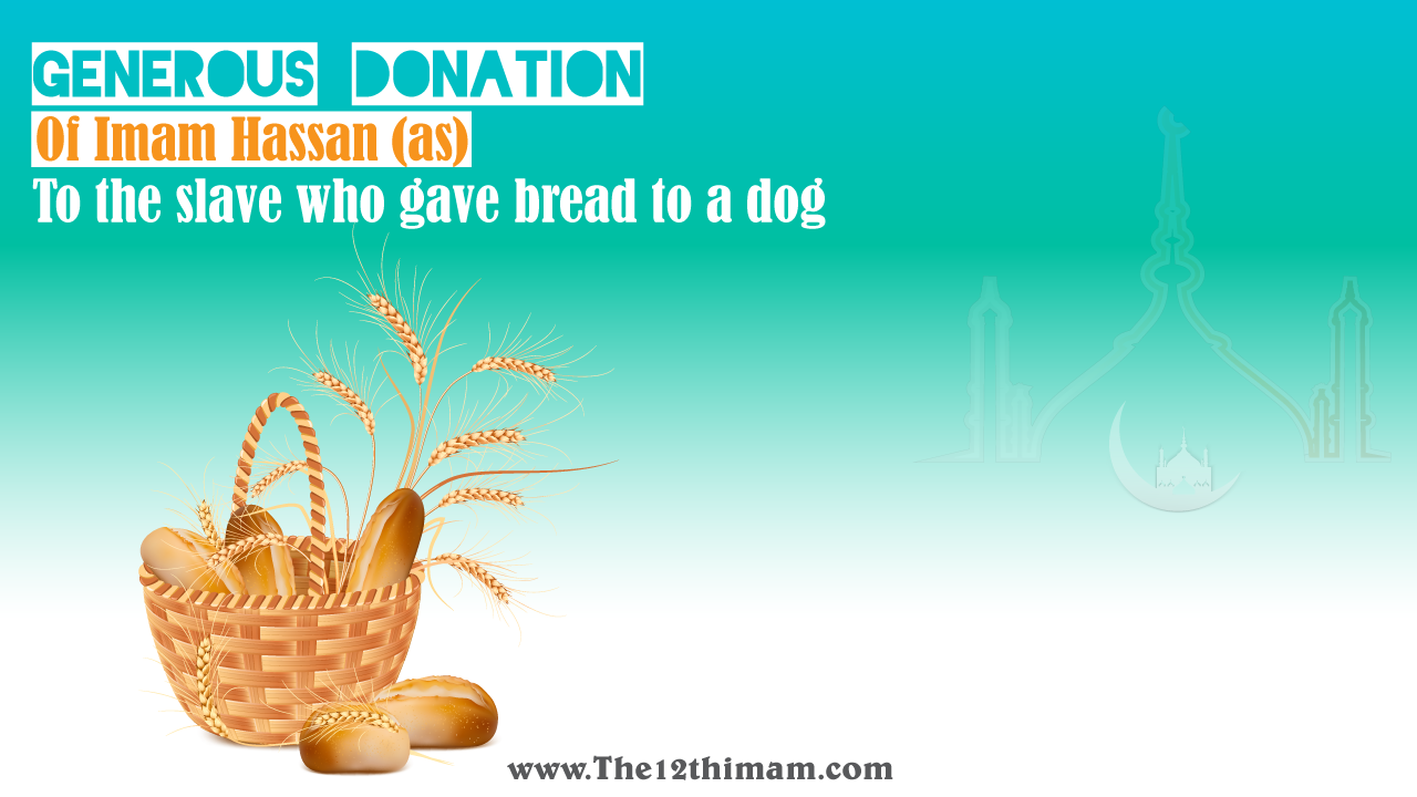 Generous Donation of Imam Hassan (as) to the slave who gave bread to a dog