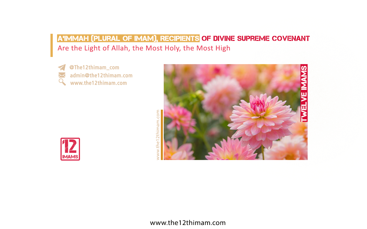 A’immah (Twelve imams), Recipients of Divine Supreme Covenant, are the Light of Allah(God), the Most Holy, the Most High