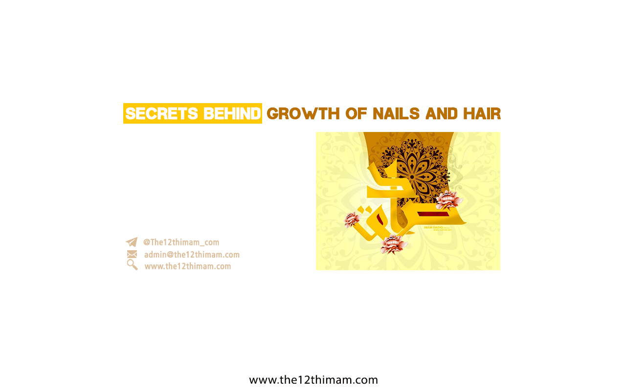 Secrets Behind Growth of Nails and Hair