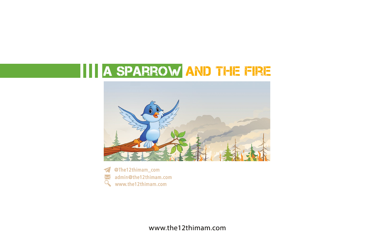 A Sparrow and the Fire