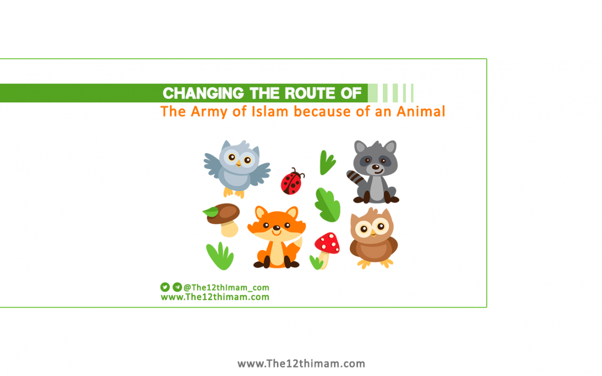 Changing the Route of the Army of Islam because of an Animal