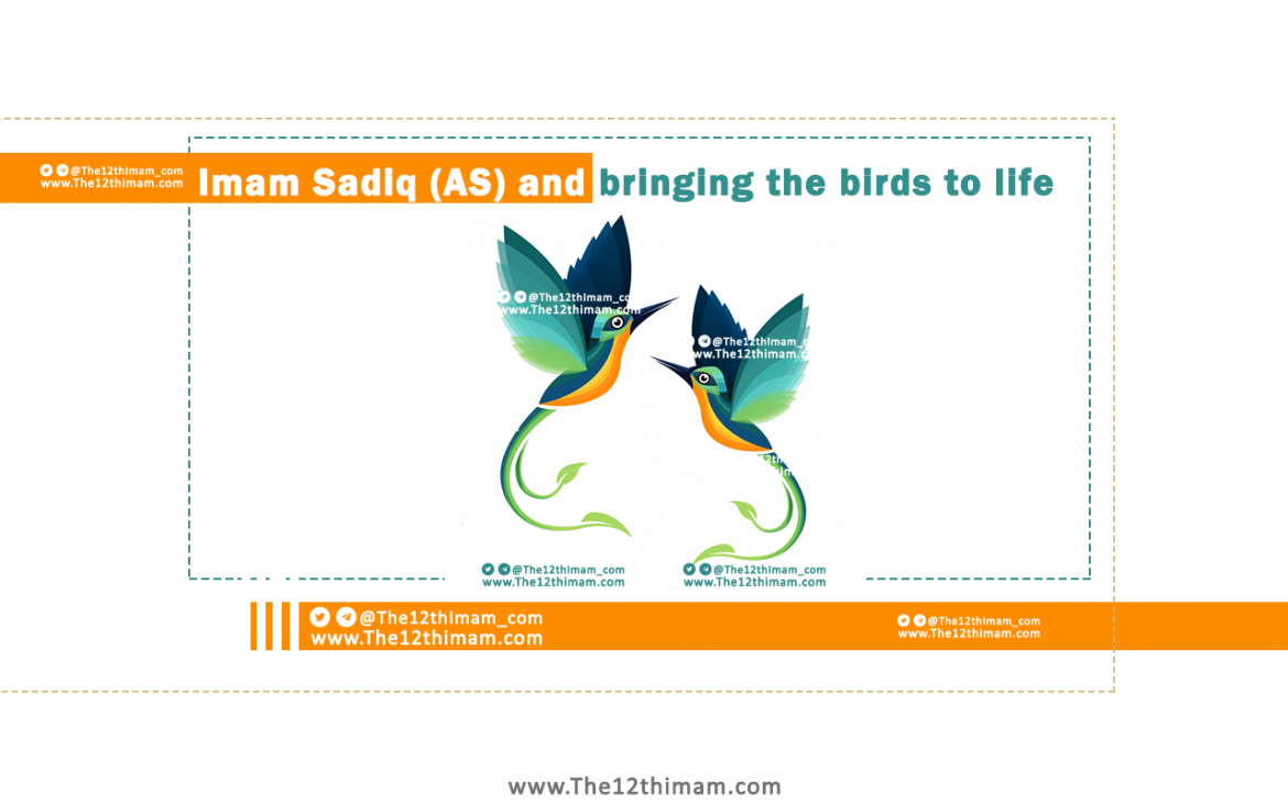 Imam Sadiq (AS) and bringing the birds to life