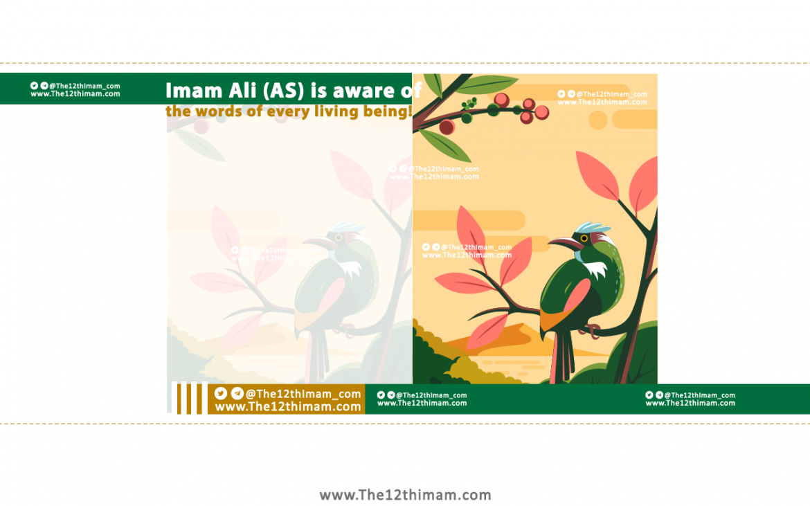 Imam Ali (AS) is aware of the words of every living being!